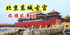 欧美操逼骚逼骚中国北京-东城古宫旅游风景区
